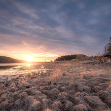 Field, wooden, Karelia, house, Lake Ladoga, grass, Russia