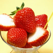 salad-bowl, strawberries