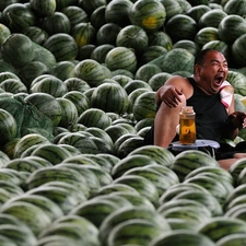 salesman, watermelons, market