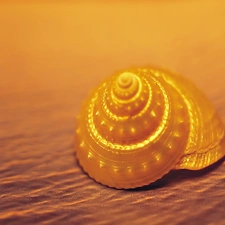 shell, Sand