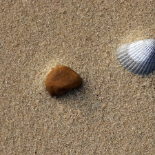 Sand, shell, Stone