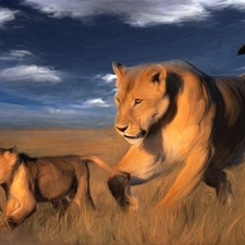 savanna, stretching, lions