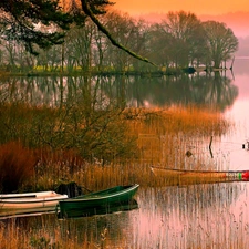 boats, forest, scrub, Pond - car