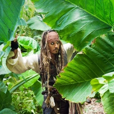 Jack Sparrow, Pirate, scrub