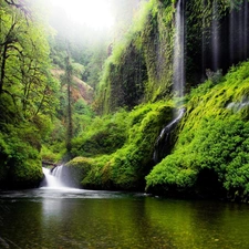 waterfall, viewes, scrub, trees