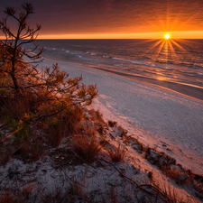 Plants, Poland, Baltic Sea, Great Sunsets, Beaches
