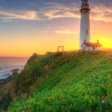 Lighthouse, Meadow, sea, maritime