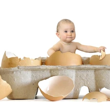 shell, Kid, eggs