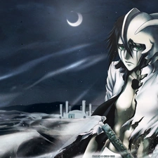 bleach, Ulquiorra Shiffer