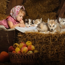 Hay, apples, puppies, Siberian Husky, girl
