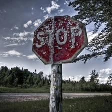 Sign, forest, Way