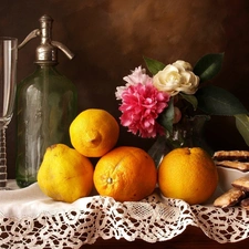 siphon, lemonade, Flowers, Bottle, lemons