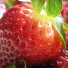 strawberries, skin