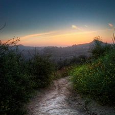 Field, Bush, Sky, Path