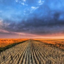 field, energy, Sky, Line