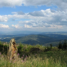 Meadow, Mountains, Sky, woods