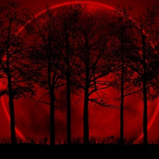 Sky, Planet, viewes, Red, trees