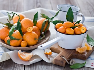 pots, slat, Kumkwaty, bowl, mandarin