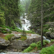 stream Student, Tatras, Slovakia