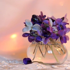 Spring, fragrant violets, small bunch