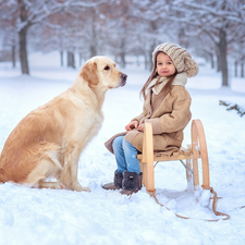 Golden Retriever, girl, snow, winter, sledge, dog