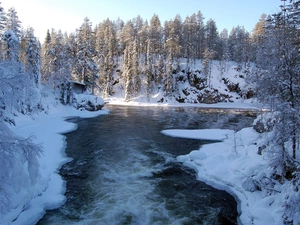 River, viewes, snow, trees