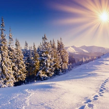 sun, Sky, snow, Christmas