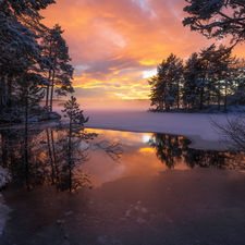 snow, winter, Icecream, lake, Ringerike, Norway, viewes, Great Sunsets, trees