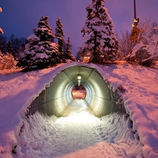 snow, twilight, viewes, tunnel, trees