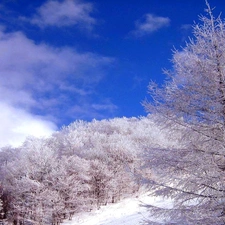 snow, winter, trees, viewes, Sky