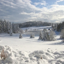 winter, viewes, snow, trees