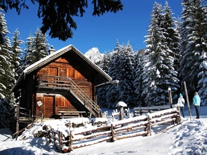 Snowy, Conifers, wooden, house, winter