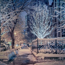 The United States, Chicago, Street, winter, viewes, Fance, Snowy, trees, snow