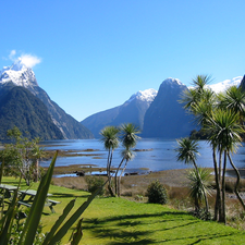 Milford Sound, New Zeland, Mountains, VEGETATION, lake