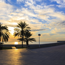 Sunrise, Palms, Malaga, Spain, Mediterranean, promenade