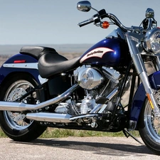 Harley Davidson Softail, spotlight