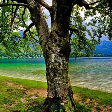 lake, trees, Spring, Mountains