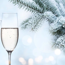 Twigs, glasses, snow, Champagne, Two cars, spruce, Bokeh