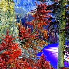 Spruces, Mountains, Autumn