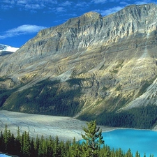 Spruces, Mountains, lake