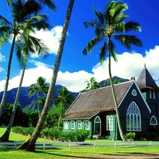 Palms, house, stained glass