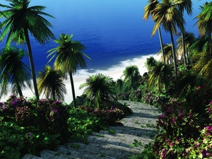 sea, Palms, Stairs, green ones