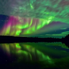 aurora polaris, forest, star, lake