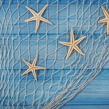 starfish, decoration, net