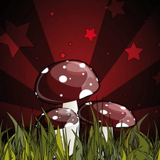 Stars, Three, toadstools