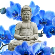 blue, orchids, Statue of Buddha, Flowers