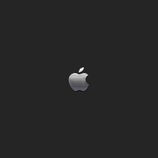 logo, Apple, steel gray