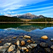 Stones, forest, lake