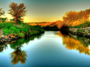 River, viewes, Stones, trees