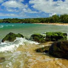 Stones, Coast, sea